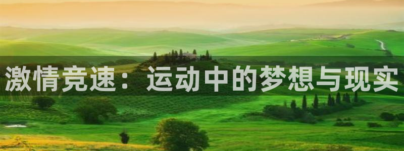JJB竞技宝官方正版app官方:激情竞速:运动中的梦想与现实